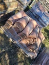 Tuiles terres cuites