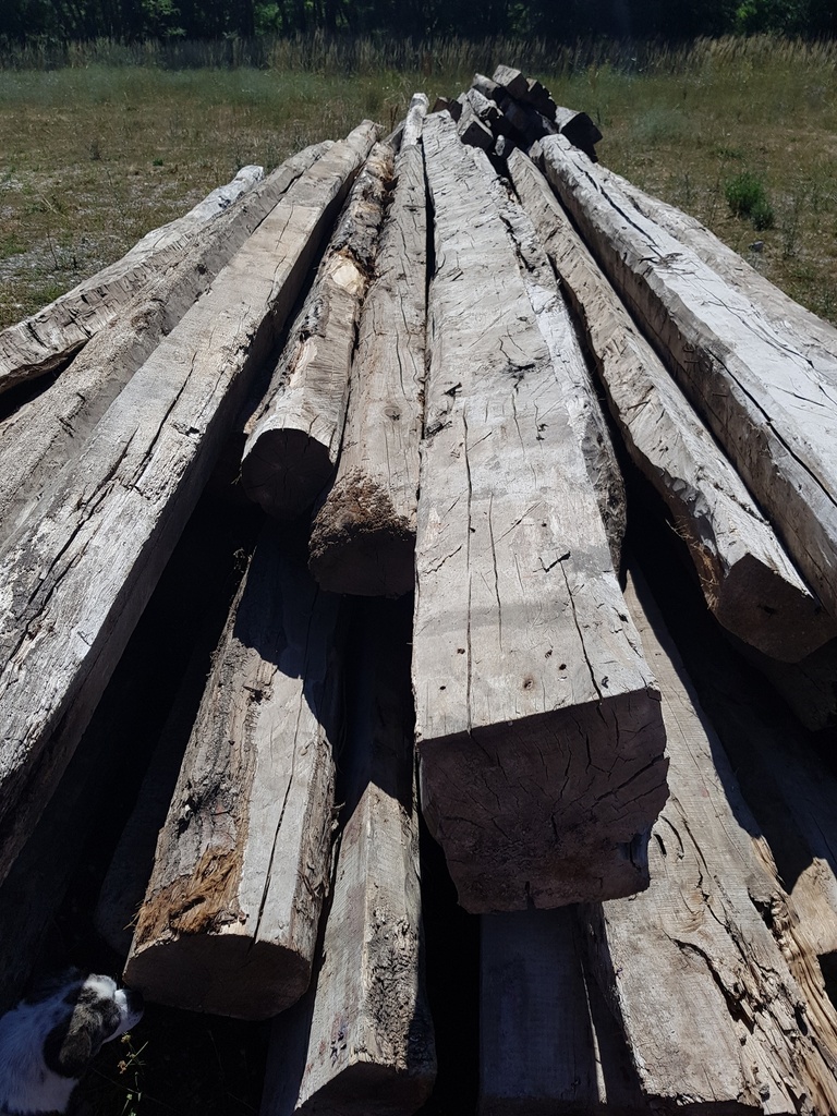Poutre Bois (longueurs variables)